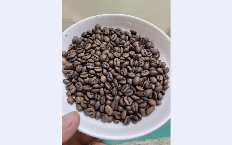 ugandan-robusta-and-arabica-coffe-beans-for-sale-27719755564-1750665413