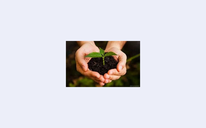loan-assistance--personal-business-or-emergency